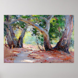 Póster Colinas - Sombra de sol Parque del Condado de Oran