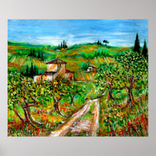 Póster Colinas verdes y olivos paisaje de Toscana