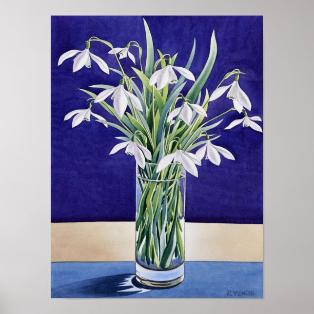 Póster Colirio de nieve (Frente)