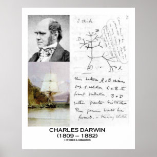 Póster Collage Charles Darwin HMS Beagle Evolution