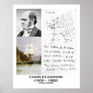 Póster Collage Charles Darwin HMS Beagle Evolution