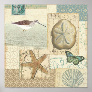 Póster Collage costero