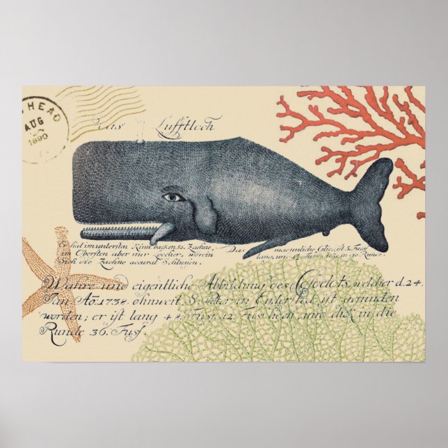 Póster Collage de ballenas azules de la costa (Frente)