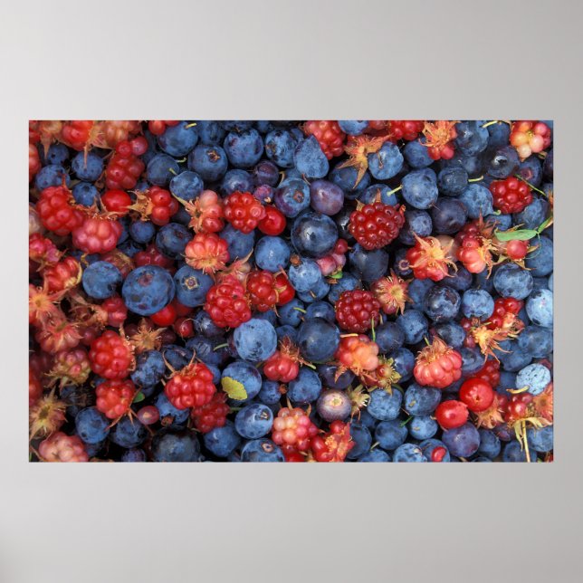 Póster Collage de Berries Silvestres Blueberries Raspberr (Frente)