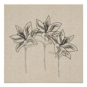 Póster Collage de dibujo de mi lirio de jardín