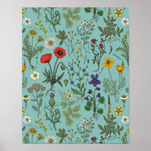Póster Collage de flores silvestres sobre azul