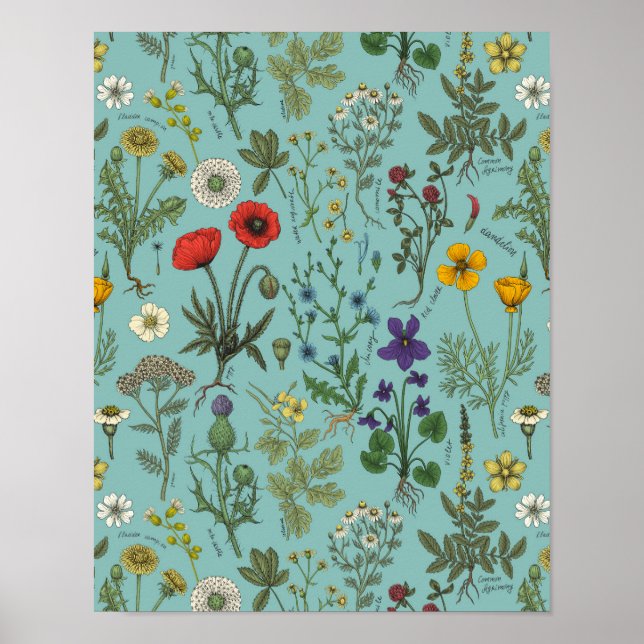 Póster Collage de flores silvestres sobre azul (Frente)