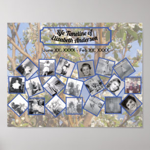 Póster Collage de fotos cronológicas en árbol florecido b