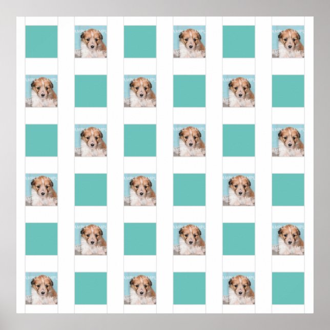 Póster Collage de fotos de mascotas 18 Muro conmemorativo (Frente)