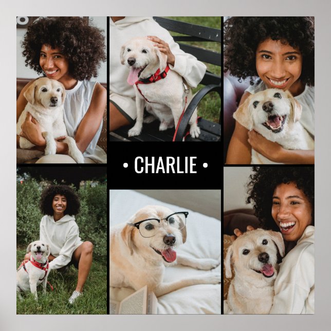 Póster Collage de fotos de perro monogramado (Frente)