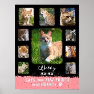 Póster Collage de fotos de Personalizado de gato Bordes F
