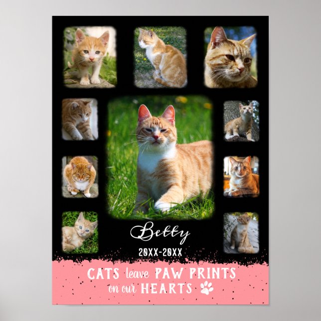 Póster Collage de fotos de Personalizado de gato Bordes F (Frente)