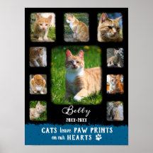 Collage de fotos de Personalizado de gato Bordes F