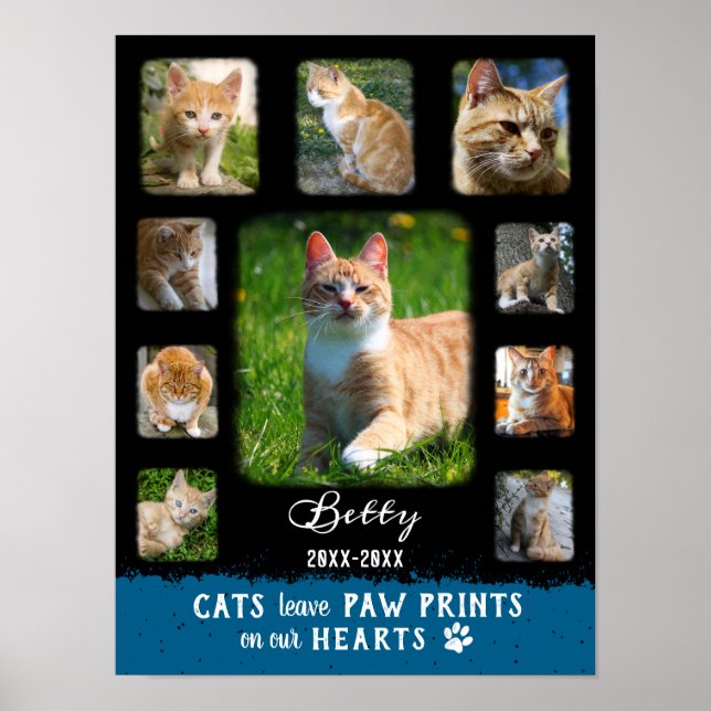 Póster Collage de fotos de Personalizado de gato Bordes F (Frente)