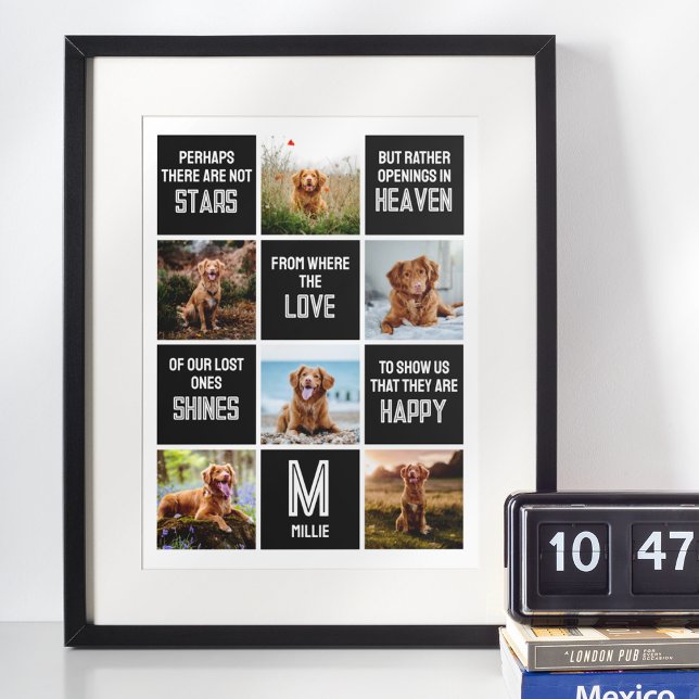 Póster Collage de fotos en memoria de perros mascotas (Subido por el creador)
