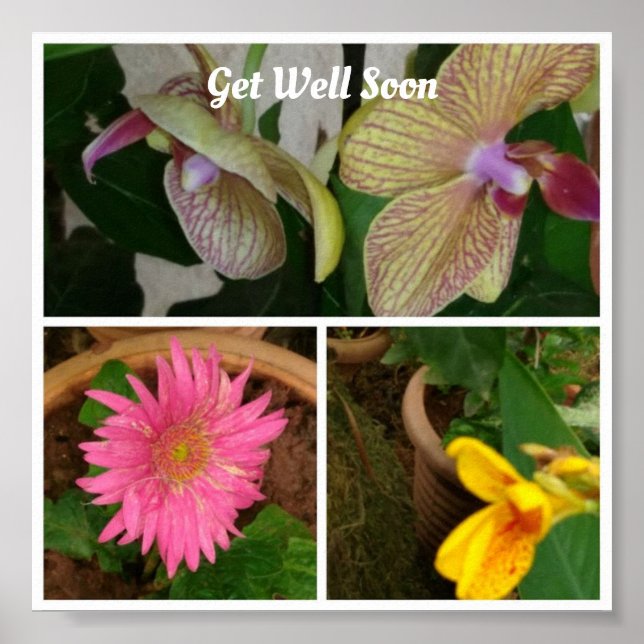 Póster Collage de fotos floral (Frente)