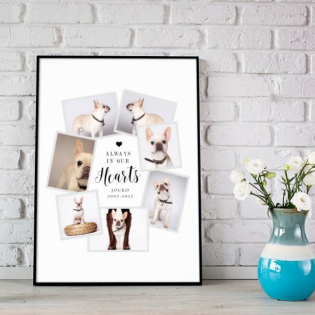 Póster Collage de fotos múltiple personalizado mascota me (Subido por el creador)