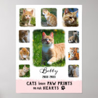Collage de fotos Personalizado Gato Bordes Faded C