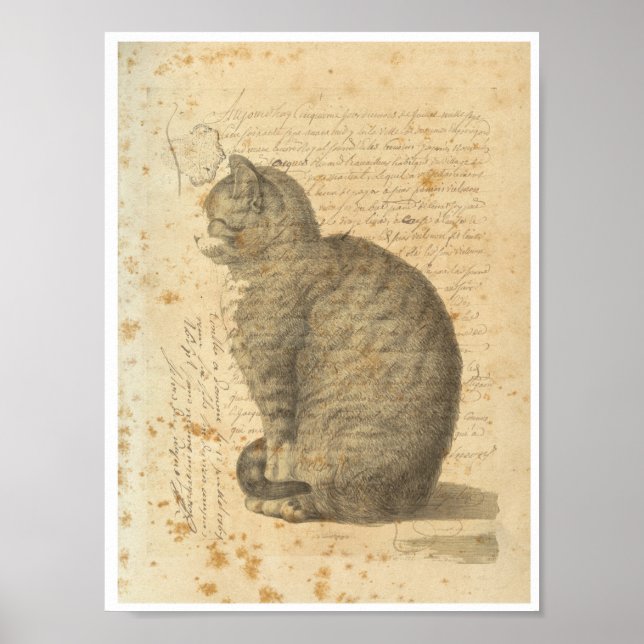 Póster Collage de gatos vintage (Frente)