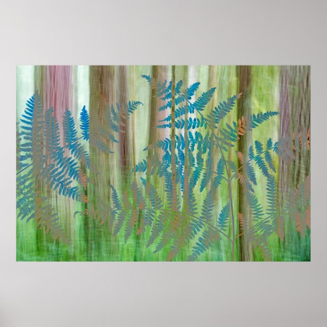 Póster Collage de helechos y bosque de Bracken | Seabeck, (Frente)