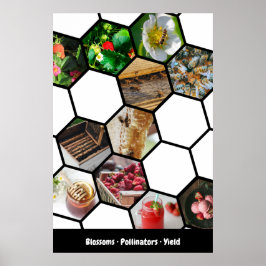 Póster Collage de historia Fresas, polinizadores y rendim