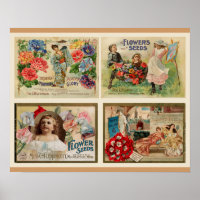 Collage de la cosecha de semillas de flores