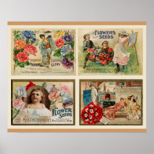 Póster Collage de la cosecha de semillas de flores