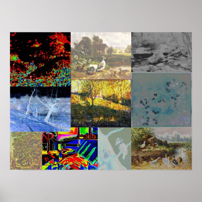 Póster Collage de la naturaleza (Frente)