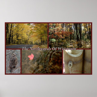 Póster Collage de la Naturaleza Imprimir Northwoods Wisco
