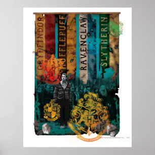 Póster Collage de neville Longbottom 1