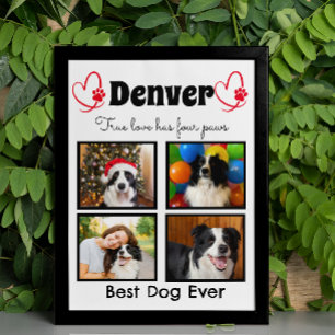 Póster Collage de perros personalizado para fotos de Fami