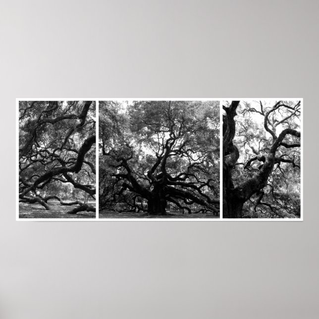 Póster Collage del árbol de ángel (Frente)