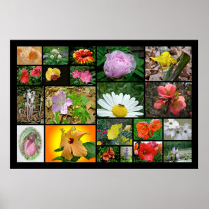 Póster Collage floral #2