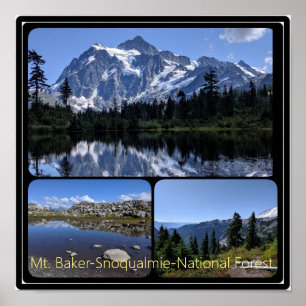 Póster Collage Forestal Nacional Baker-Snoqualmie Poste