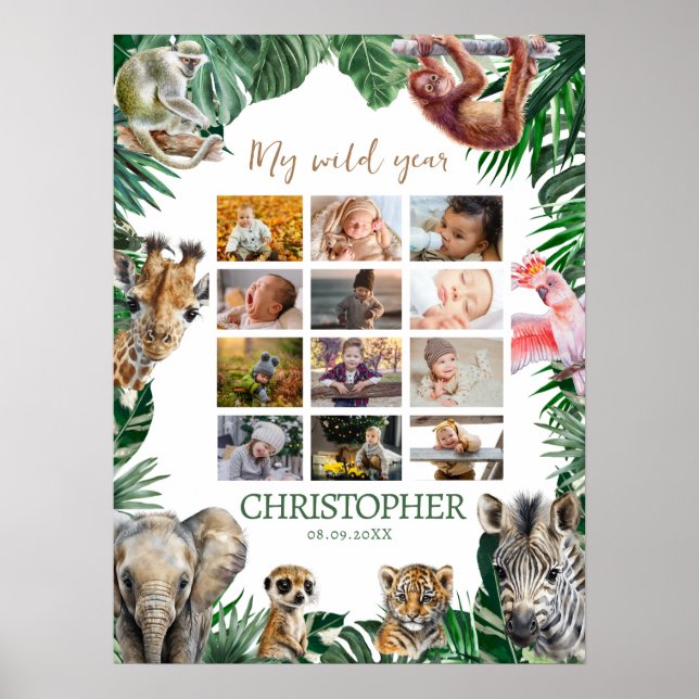 Póster Collage fotográfico de 12 meses del primer año (Frente)