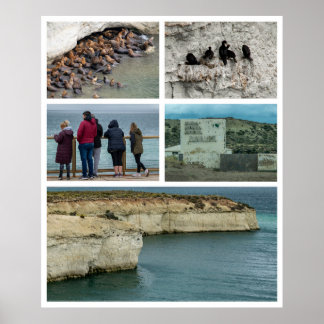 Póster Collage fotográfico de Punta loma, provincia de ch