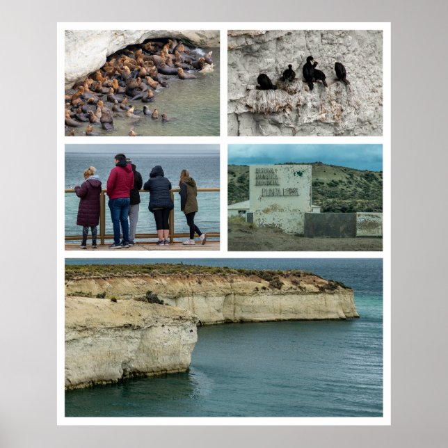 Póster Collage fotográfico de Punta loma, provincia de ch (Frente)