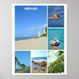 Póster Collage natural de San Juan, Puerto Rico