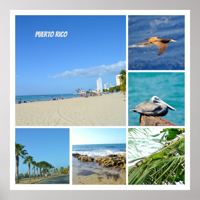 Póster Collage natural de San Juan, Puerto Rico (Frente)