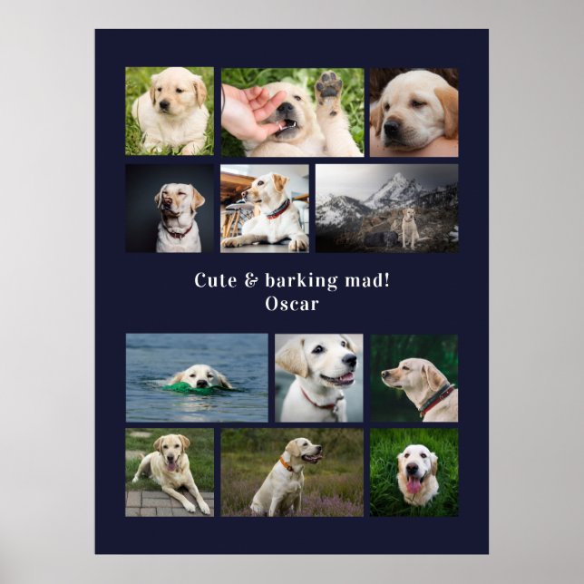 Póster Collage personalizado moderno de fotos de perros d (Frente)