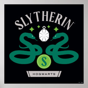 Póster Collar doble de la casa SLYTHERIN™ con gráfico de 