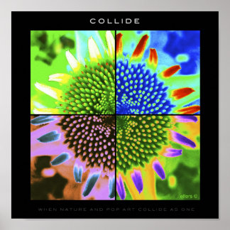 PÓSTER COLLIDE