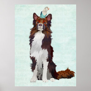 PÓSTER COLLIE COLORIDO Y PÁJARO AZUL