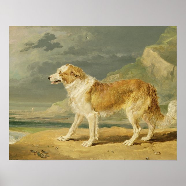 Póster Collie con recubrimiento duro, 1809 (aceite a bord (Frente)