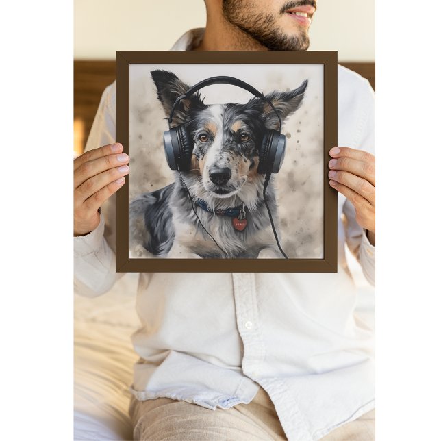 Póster Collie de borde escuchando auriculares (Subido por el creador)