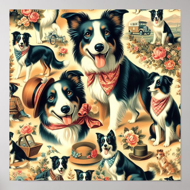 Póster Collie de borde suave sin soldadura (Frente)