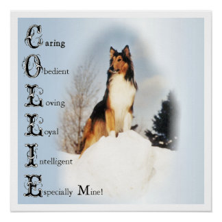 Póster Collie es... Rough Collie Art