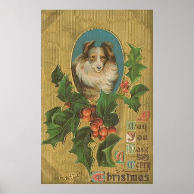 Póster Collie navideña vintage (Frente)