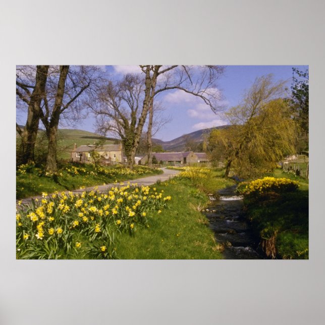 Póster colmillos de primavera amarillos, bordes, flores P (Frente)