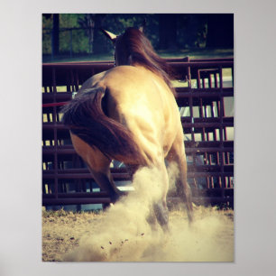 Póster Colocar el polvo